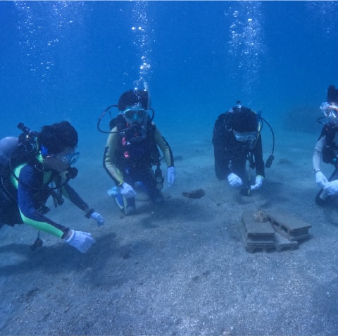学校行事の様子をまとめたコラージュ写真。運動会、文化祭、授業風景などで構成されている。